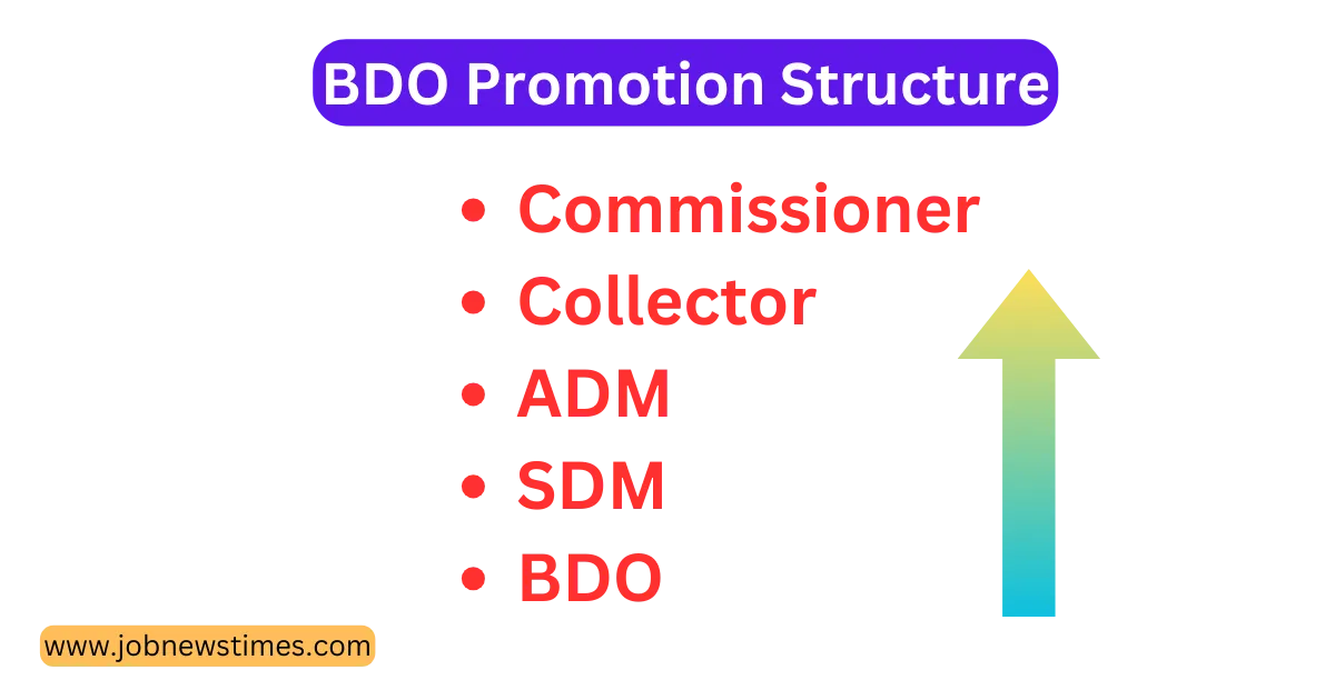 BDO Promotion Structure 2023