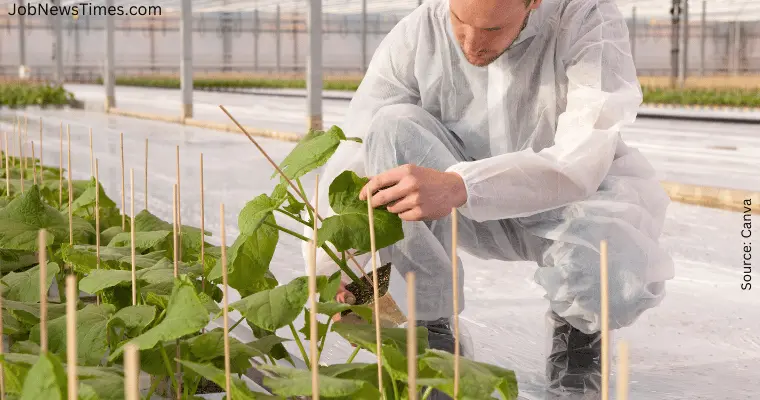 Horticulture Jobs UK with Visa Sponsorship